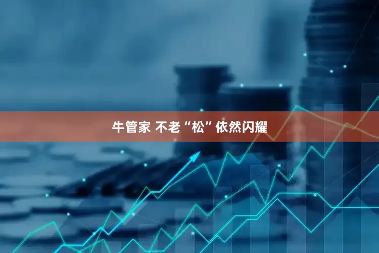 牛管家 不老“松”依然闪耀